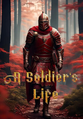 A Soldier's Life